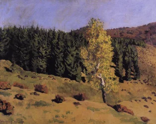 Paysage Automne à Izvora